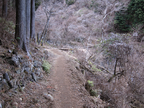 20190214hike (168)